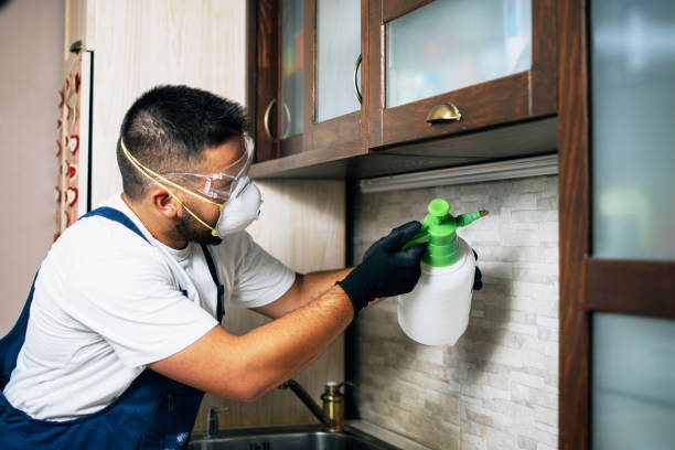 Best Mosquito Control Services  in Clemson University, SC