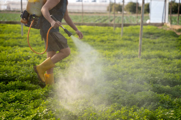 Best Wildlife Control Services  in Clemson University, SC