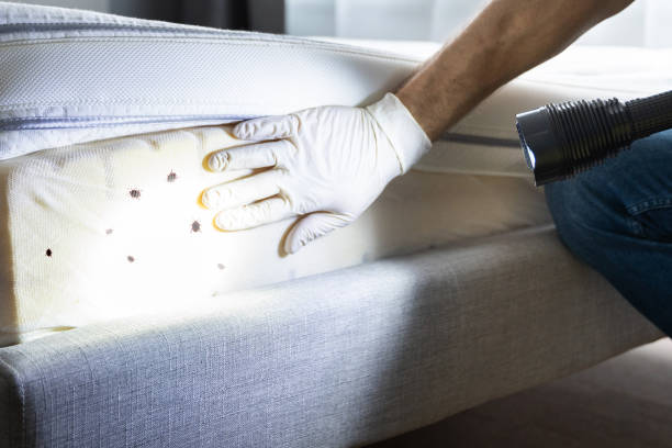 Best Pest Prevention Services  in Clemson University, SC