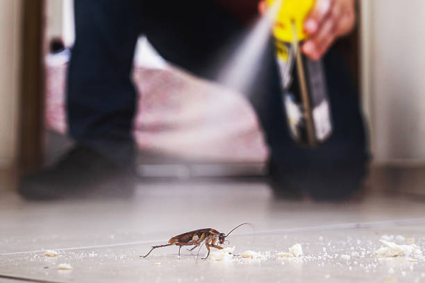 Best Emergency Pest Control  in Clemson University, SC