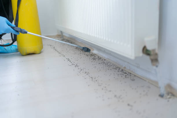 Best Cockroach Control Services  in Clemson University, SC