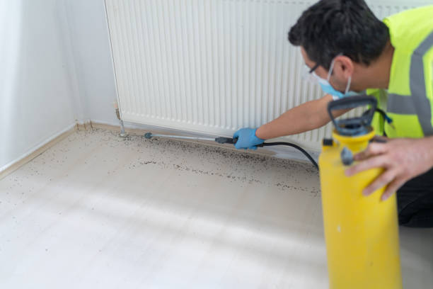 Best Pest Inspection Near Me  in Clemson University, SC